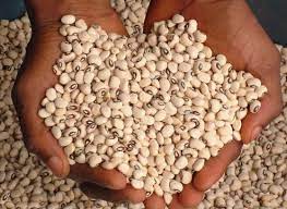 Two handful of dried beans pulses